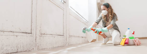 Mold Documentation for Insurance Claims in Canonsburg, PA